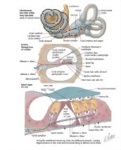 56806