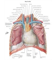 57595
