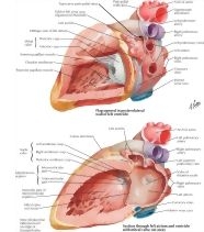 57603