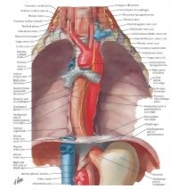 57606