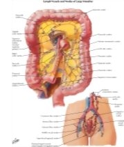 57617
