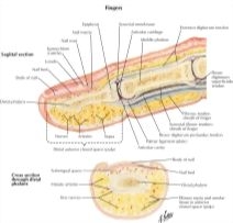 57675