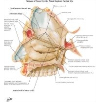 57851