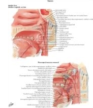 57854