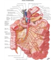 57909