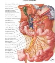 57913