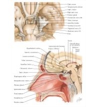 57961