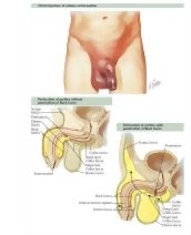 58229