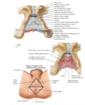 58235