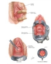 58369