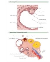 58496