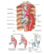 58540