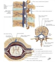 58875