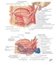 58892