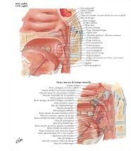 58903