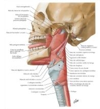 58905