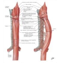 58907