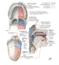 58909