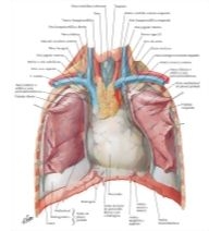 58922