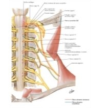 58963