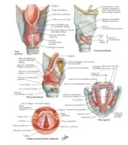 59057
