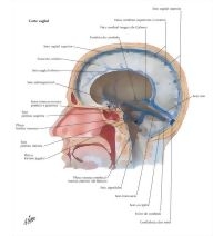 59078