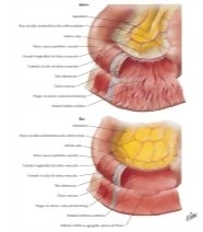 59145