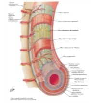 59180
