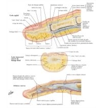 59247