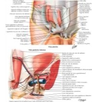 59272
