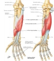 59279