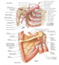 59354