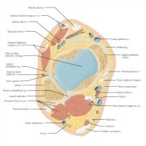 60006