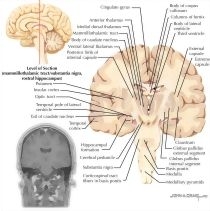 60530