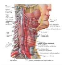 60567