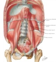 60799