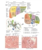 60861