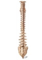 62046