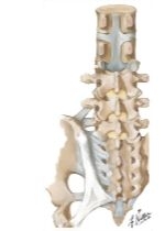 62095
