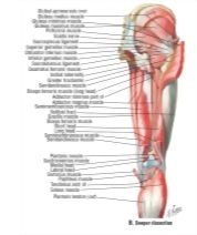 62791