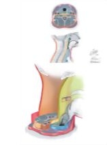 63988
