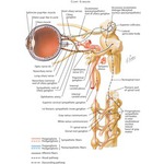 68850