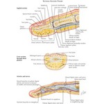 70679
