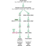 75090