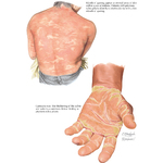 79584