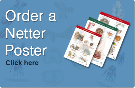 Order a Netter Poster