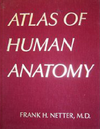 Atlas of Human Anatomy - 1st Edition