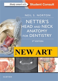 New Art: Netter's Head and Neck Anatomy for Dentistry