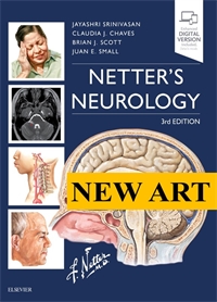 New Art: Netter's Neurology 3E
