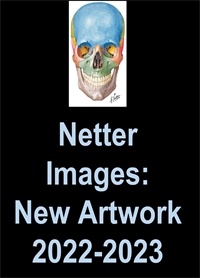 NetterImages New Artwork 2022-...